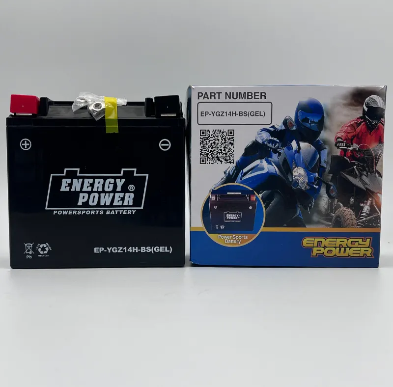 Energy Power YGZ14H-BS Gel